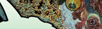 blocks_image